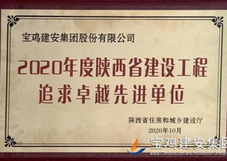 2020年度陜西省建設(shè)工程追求卓越先進(jìn)單位